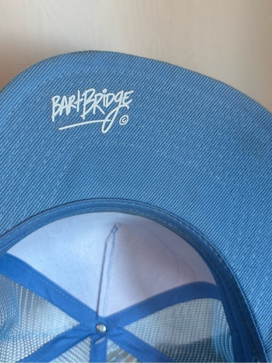 Santa Cruz Mushroom Blue Mesh Trucker Hat Barkridge Co main image 4